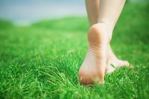 Définition de la naturopathie